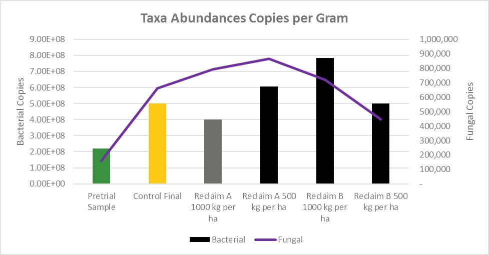 Taxa Abdunancies Copies per Gram