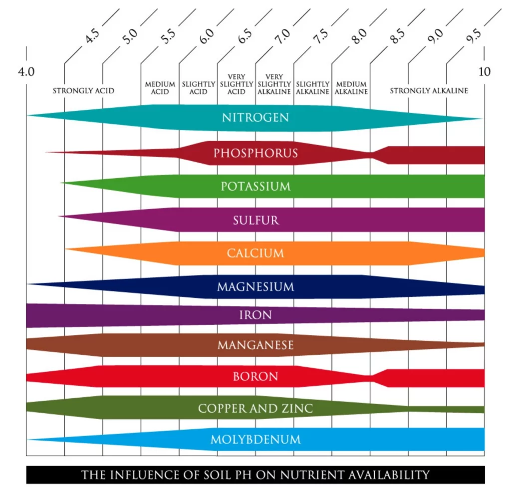 A diagram showing the impact of soil pH on nutrient availability and microbial activity, with an emphasis on the optimal pH range for crop growth and the consequences of low pH. 